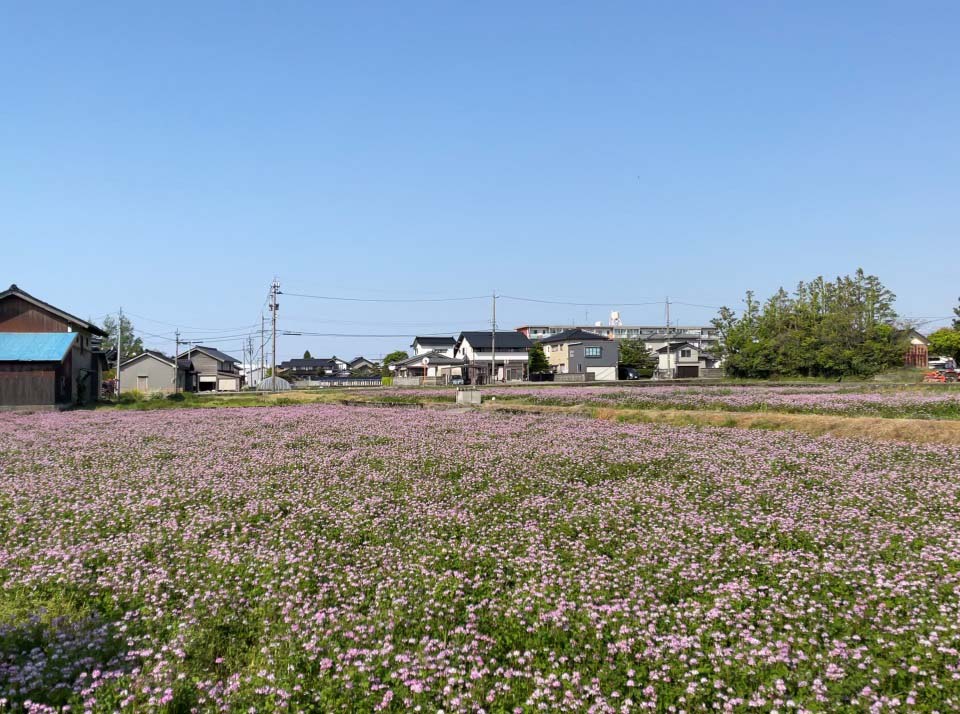 ギャラリー写真