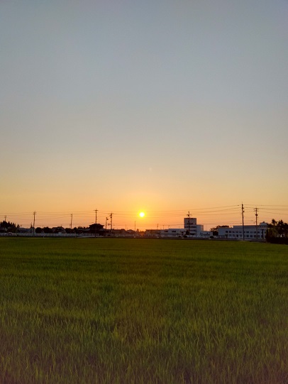ギャラリー写真