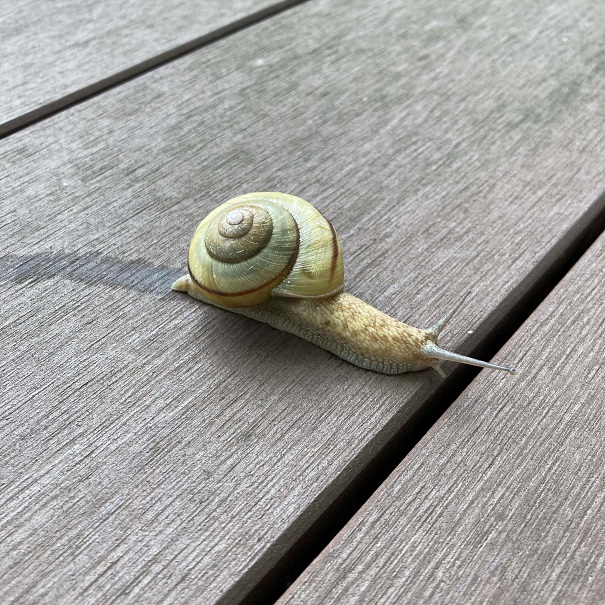 ギャラリー写真