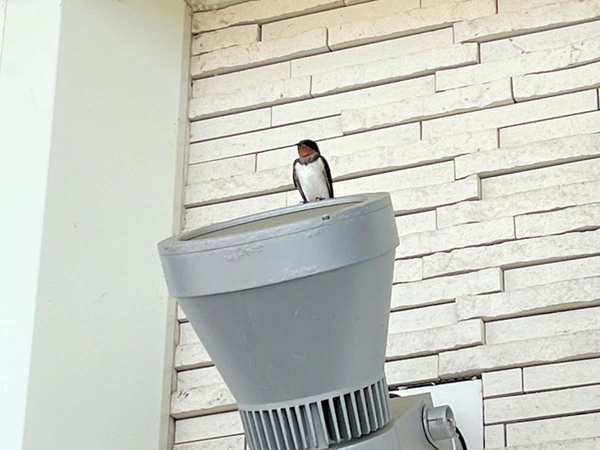 ギャラリー写真