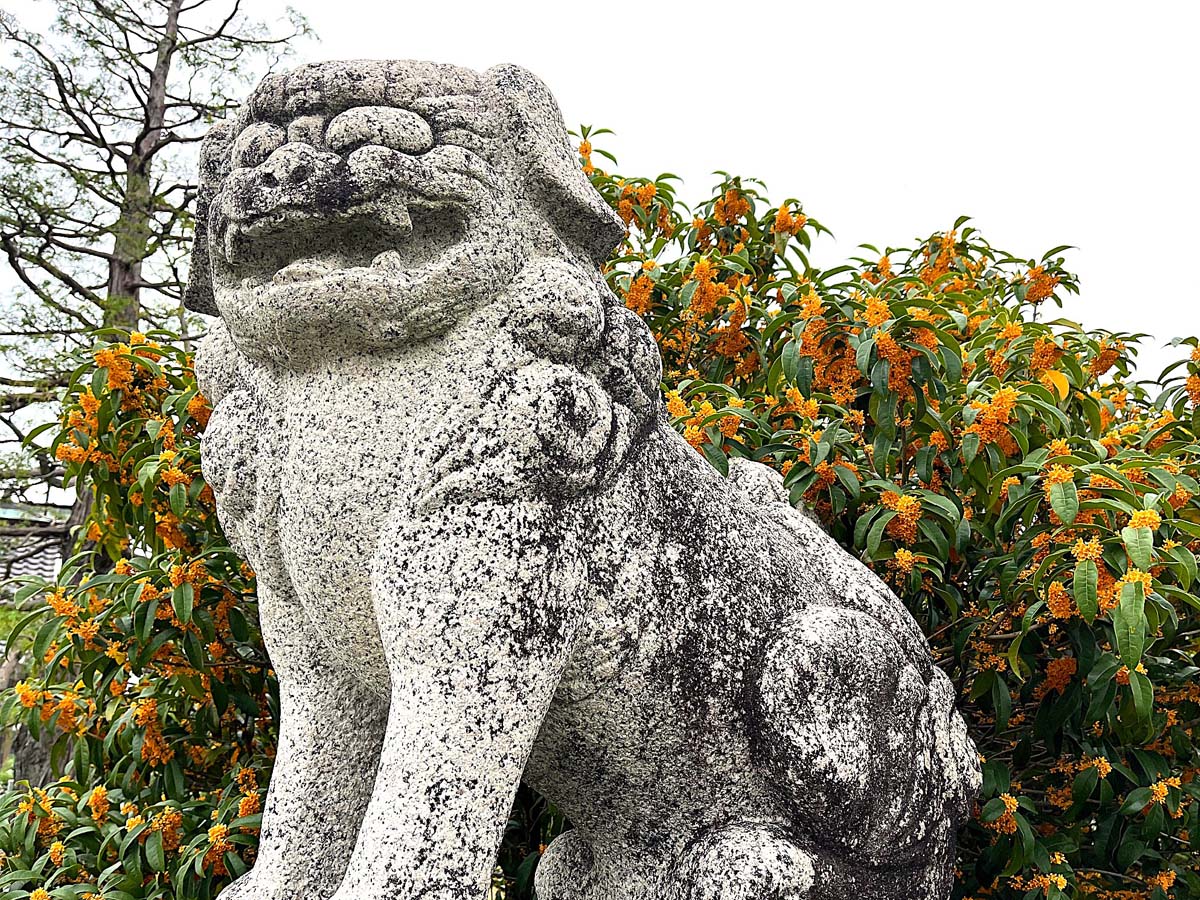 ギャラリー写真