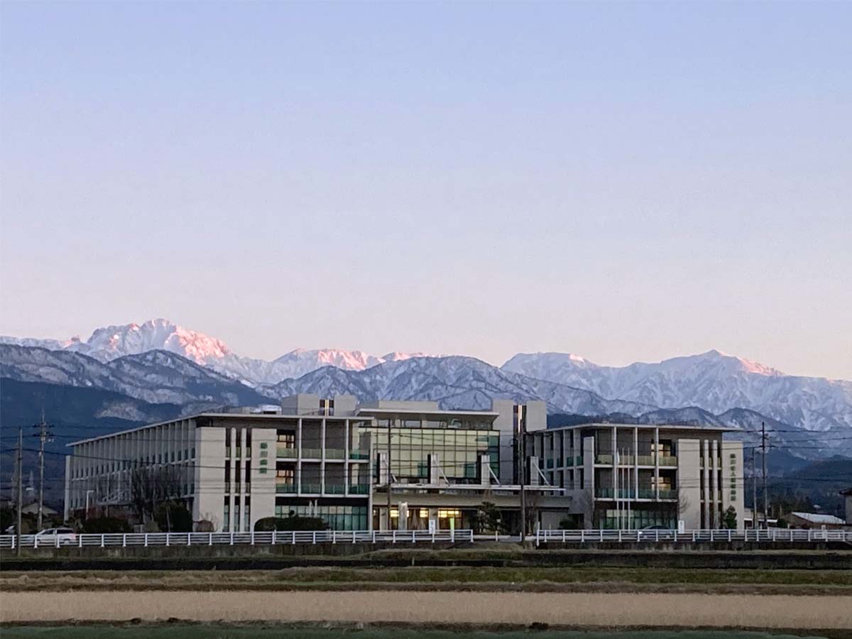 ギャラリー写真