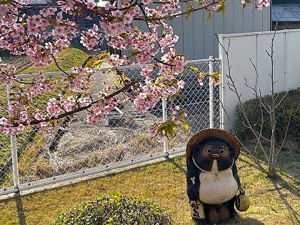 ギャラリー写真